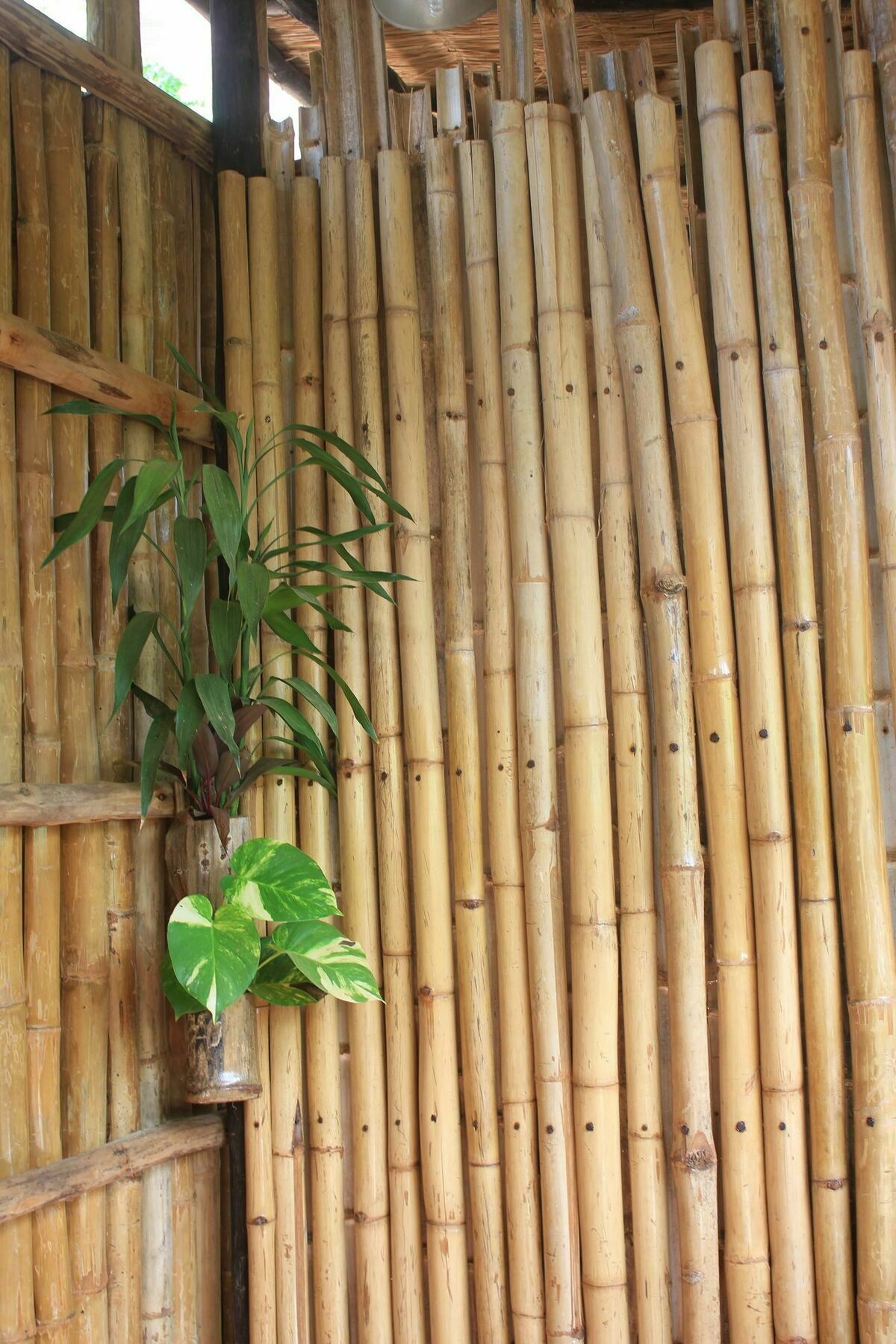 Battambang Dream Bungalows Exterior photo