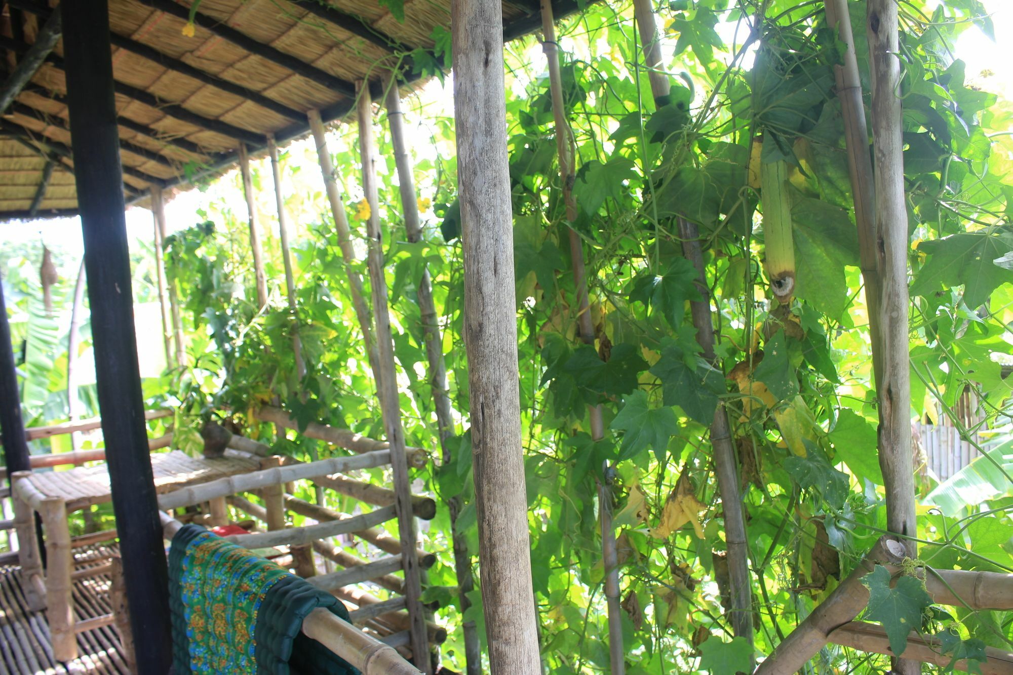 Battambang Dream Bungalows Exterior photo