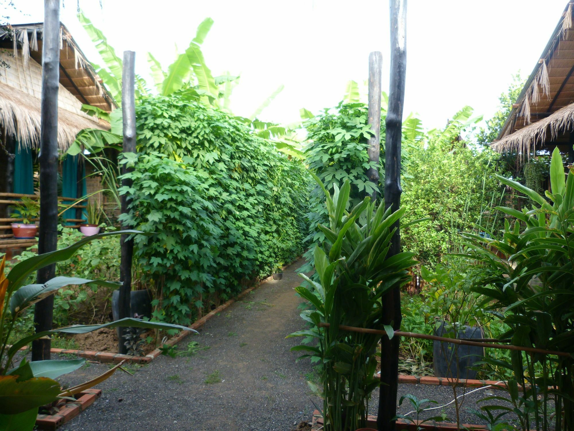 Battambang Dream Bungalows Exterior photo